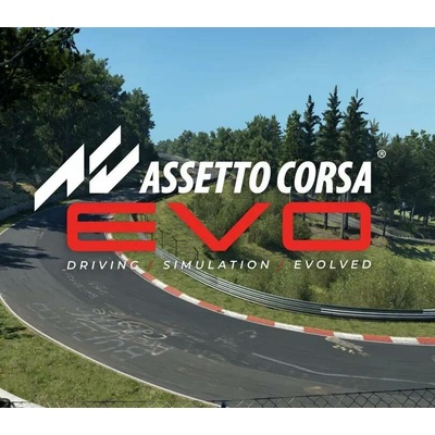 Assetto Corsa Evo