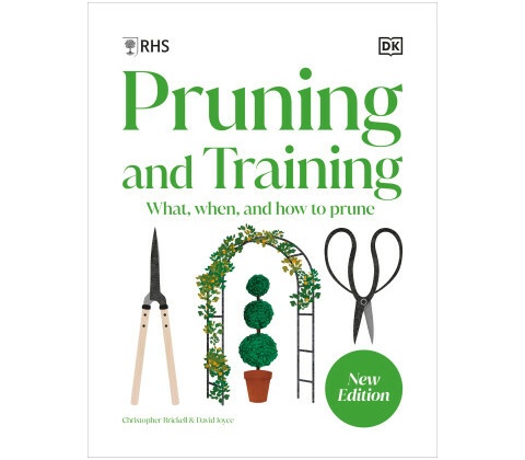 RHS Pruning and Training