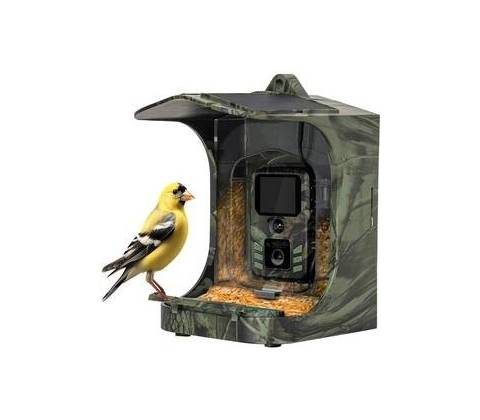 Evolveo StrongVision BirdFeeder