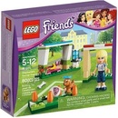 LEGO® Friends 41011 Stephanie trénuje fotbal