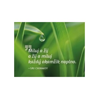 Magnet na lednici Miluj a žij...