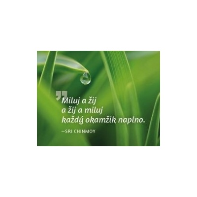 Magnet na lednici Miluj a žij...