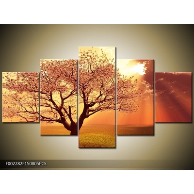 Moderní obraz F002282F150805PCS (Pětidílný 150x80 cm)