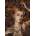 Grafika Art Puzzle - Puzzle Ortega: Burnt Rose - 1 000 piese