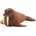 Animal Planet Mojo ANIMAL PLANET, Фигурка за игра и колекциониране, Морж