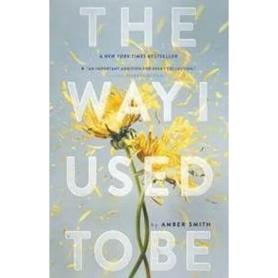 Way I Used to Be | Amber Smith, Amber Smith