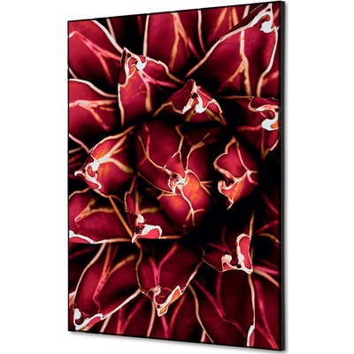 Jansen Display Textilní dekorace na zeď A2 Cactus červená, 420 x 594 mm