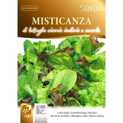 Hortus Микс от Марули, Ендивия, Цикория и Рукола