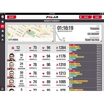 Polar TEAM Basic
