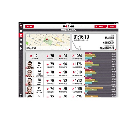 Polar TEAM Basic