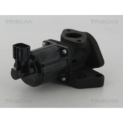 AGR - Ventil TRISCAN 8813 50007