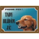 Dafiko Tabulka Irský setr