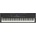 Yamaha CK88
