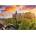 Dino - Puzzle Hrubá skala - 500 piese
