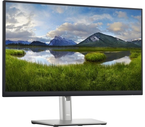 Dell P2423D
