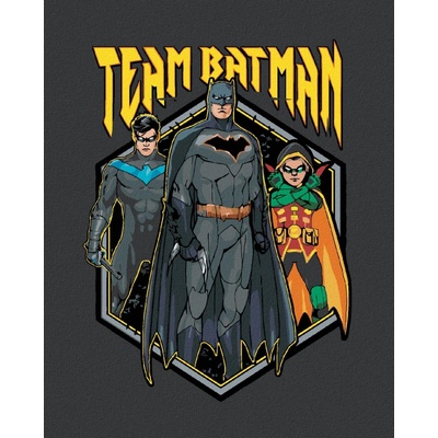 Malování podle čísel TÝM BATMAN