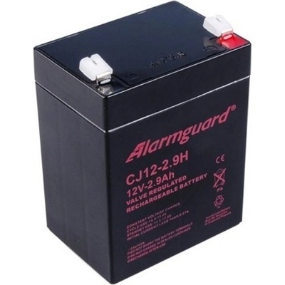 Alarmguard 12V 2,9Ah