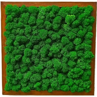 Machový obraz - LIŠ Druh rámu: 70x70cm