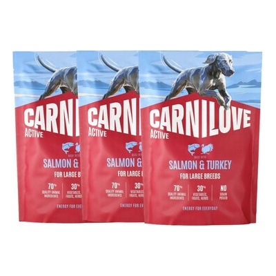 Carnilove Active Dog Made with Salmon & Turkey for Adult Large Breeds 3 x 1,5 kg
