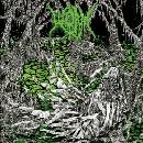 Gloomlord - Worm LP