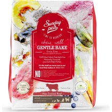 GENTLE BAKE BEEF CAT 1,3 kg