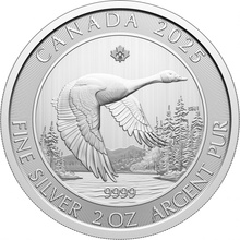 The Canadian Royal Mint Stříbrná mince Canada Goose 2025 2 oz