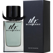 Burberry Mr. Burberry toaletná voda pánska 150 ml