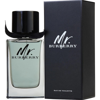 Burberry Mr. Burberry toaletná voda pánska 150 ml