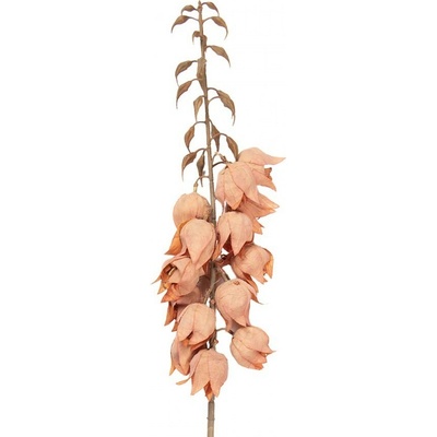 Dekorace umělá květina Yucca s oranžovými květy - 12*12*100 cm - Clayre & Eef