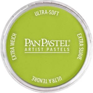 PanPastel Artists’ Сух пастел 680.5 Bright Yellow Green 1 бр (<![CDATA[8026805-1]]>)