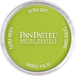 PanPastel Artists’ Сух пастел 680.5 Bright Yellow Green 1 бр (8026805-1)