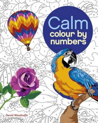 Colour by Number Arcturus Publishing