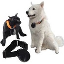 Kamera pro psa a jiné domácí mazlíčky PetCam