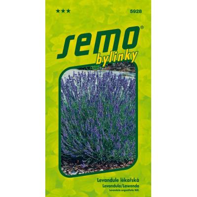 Semo Levandule lékařská Provence