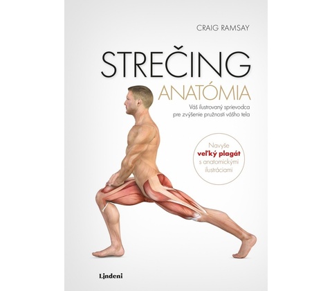 Strečing - anatómia