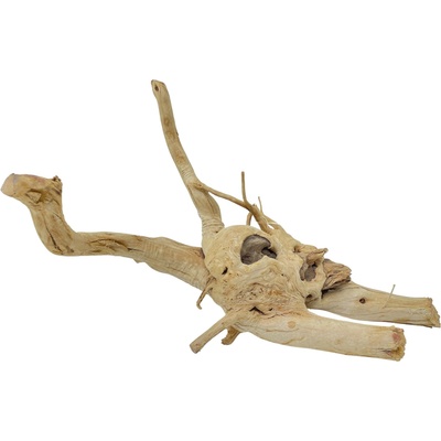 Invital Red moor wood KG 1510 g Z00521