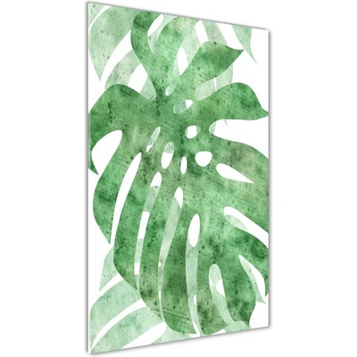 Vertikálny foto obraz sklenený Monstera 50x100 cm