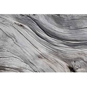DIMEX ART Флизелинов фототапет дървесна структура 375 x 250 см