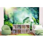 DIMEX ART Самозалепваща се флизелинова фототапета глобус върху мъх 375 x 250 см
