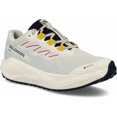 Salomon Aero Blaze 3 GRVL Gore-Tex M vanilla ice / astral aura / lemon