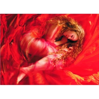 Gold Puzzle Collection - Puzzle Sleeping Beauty - 1 000 piese