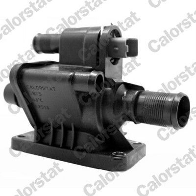Termostat, chladivo CALORSTAT BY VERNET TH6875.83J