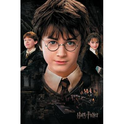 Europosters Plagát, Obraz - Harry Potter - Tajomná komnata, 26.7 × 40 cm