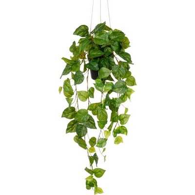 Umelá popínavá rastlina Philodendron popínavý závesný, 75cm