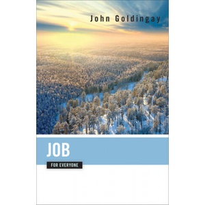 Job for Everyone | John Goldingay (ISBN: 9780664239367)