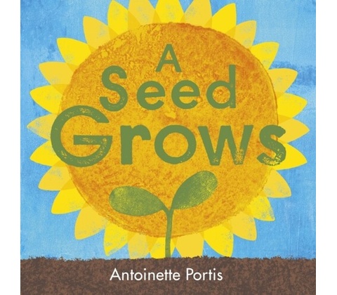 A Seed Grows
