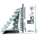 VetaPro CarbonActive 20 kapsúl