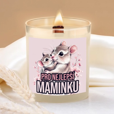 Ahome Pro maminku myšky 450 g