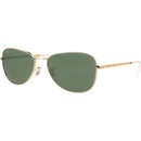 Ray-Ban RB 3733 001 31