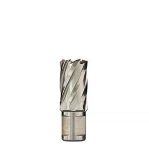 Euroboor 21 mm HCS.210